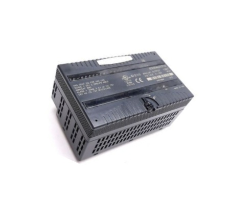 IC200ALG321