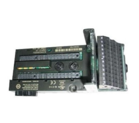 IC200CHS025